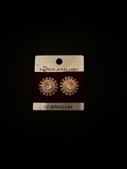 Elegant Diamond Earrings